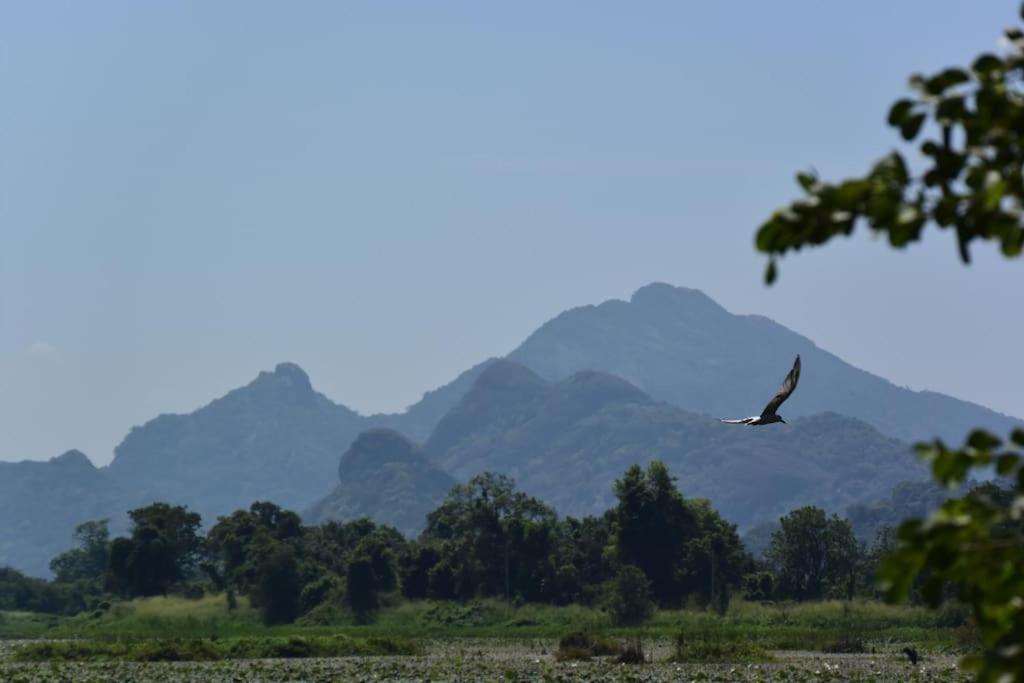 Sigiriya Village Home Stay מראה חיצוני תמונה