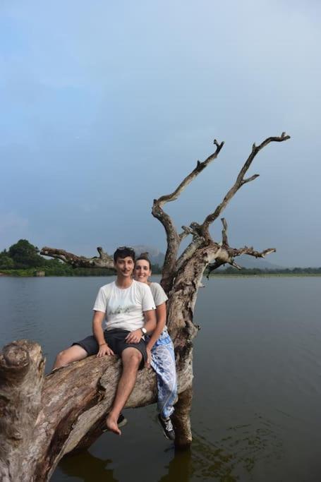 Sigiriya Village Home Stay מראה חיצוני תמונה